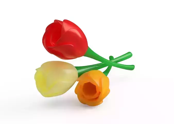 Tulip flower 3D print model