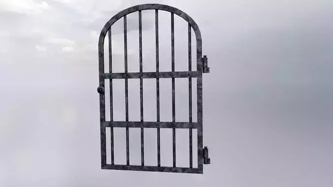 Medieval Prison Door