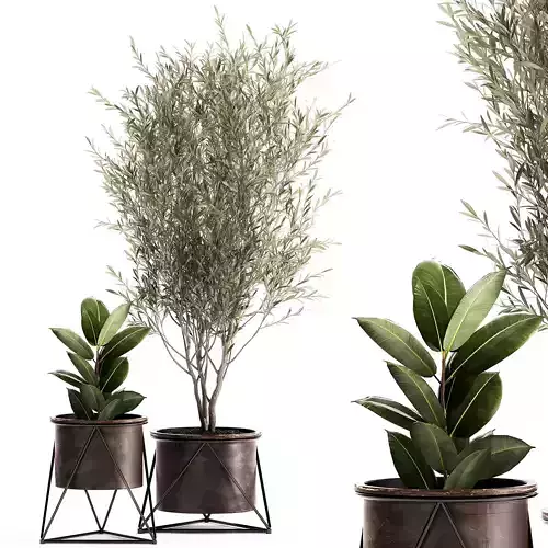 Houseplants in a rusty flowerpot for the interior 976