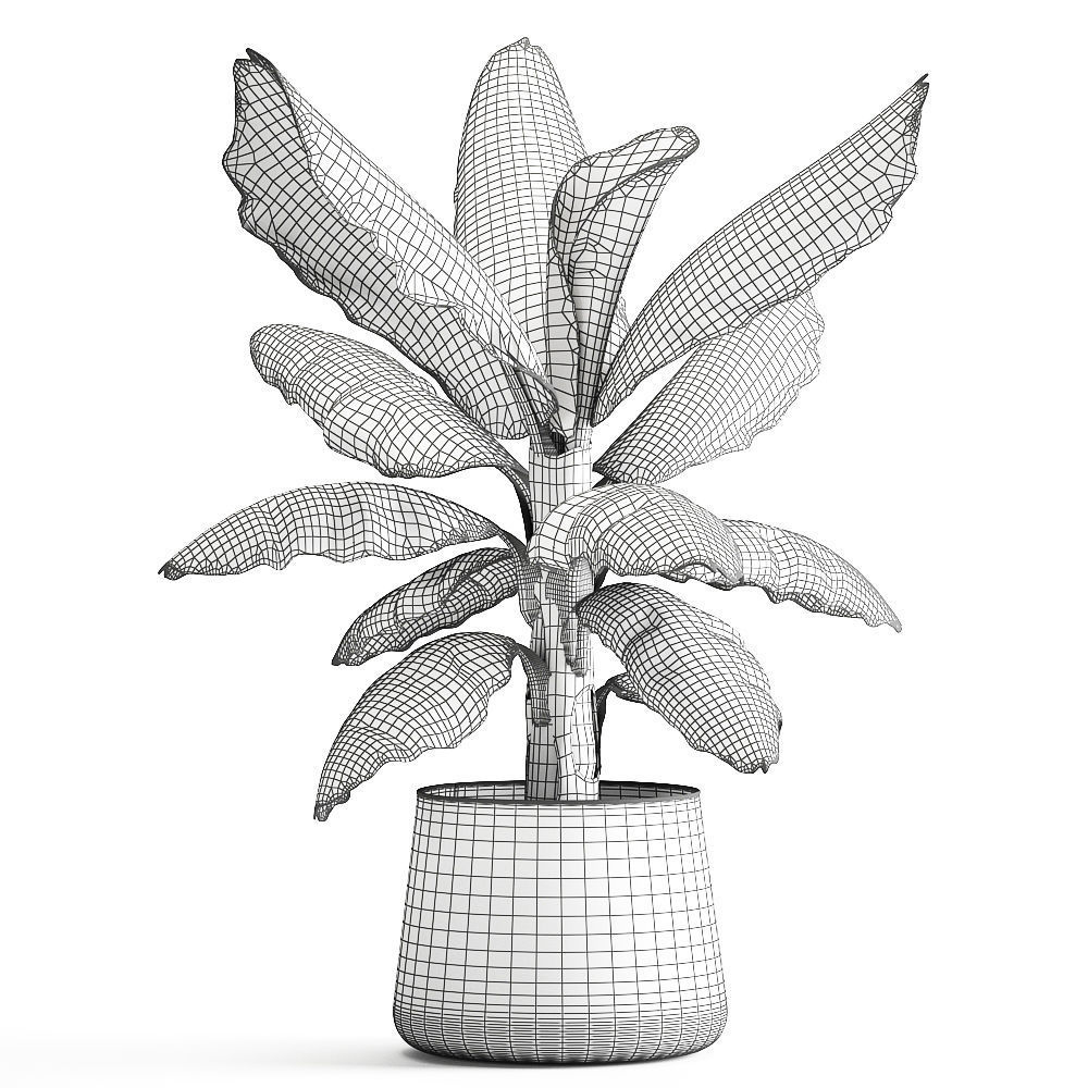 Ravenala palm in a rust pot for the interior 977 3D model_5