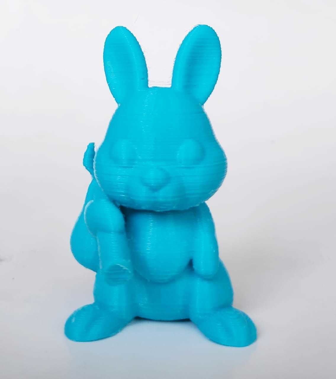 Travelling Bunny 3D print model_4