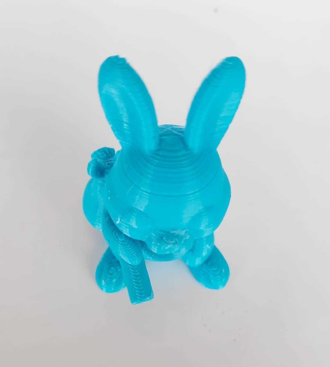 Travelling Bunny 3D print model_9
