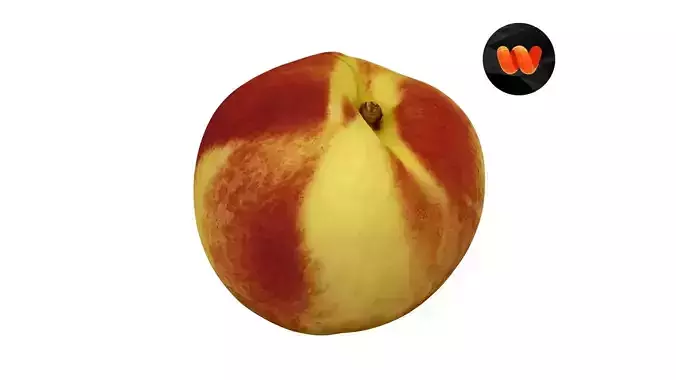 Nectarine - Extreme Definition 3D Scanned