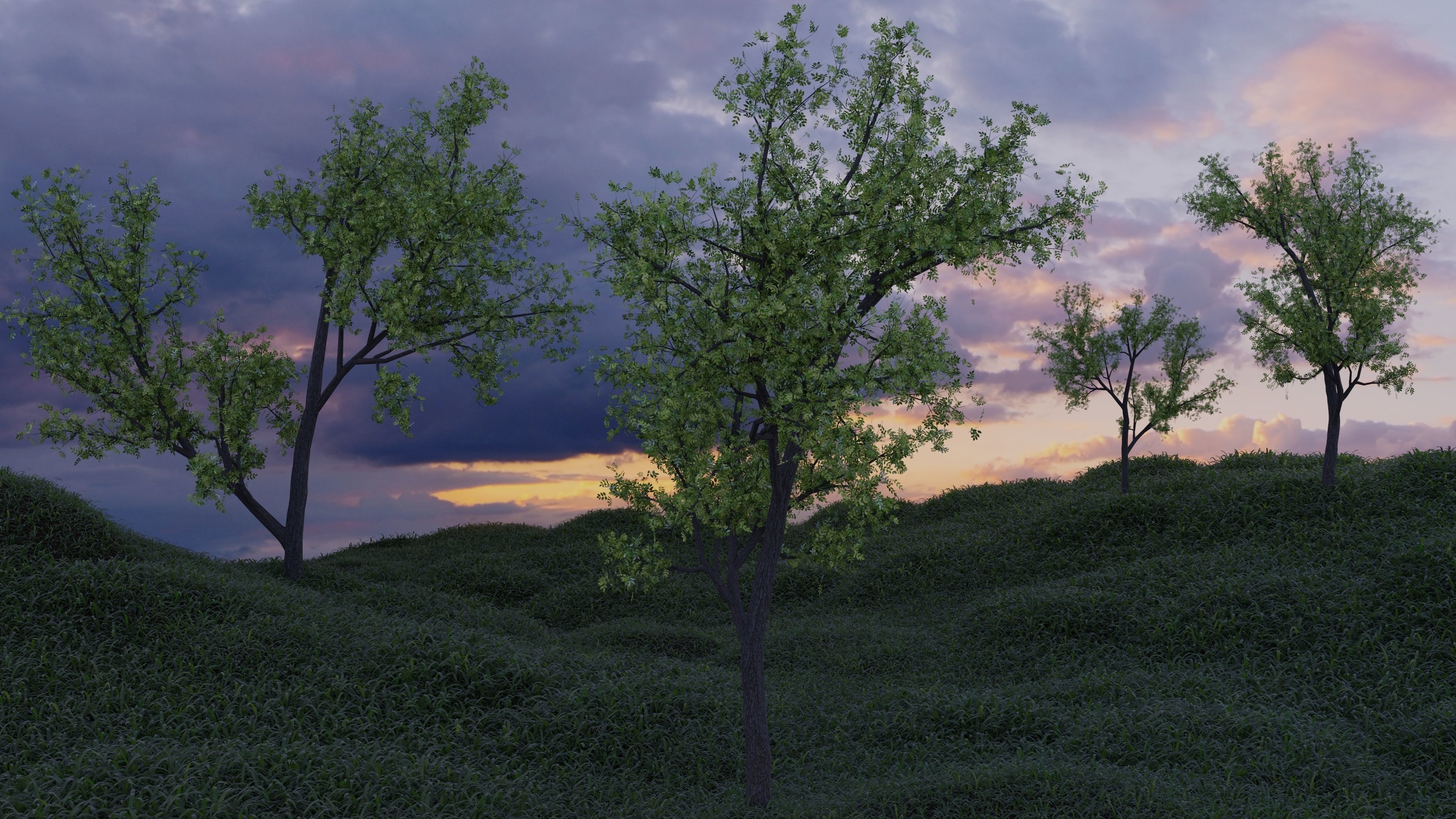 Ash-leaved tree ver 0-0 3D model_8