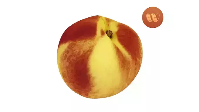 Nectarine - Real-Time Scanned