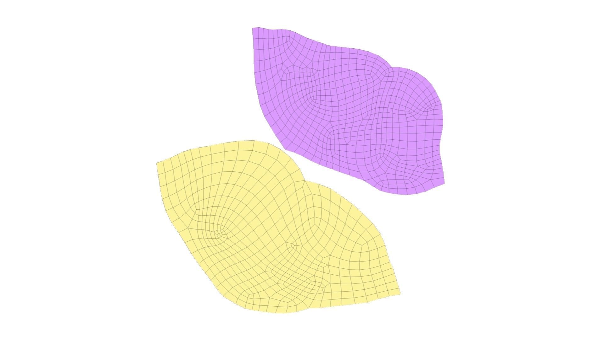 Pine Cone - Extreme Definition Scanned 3D model_10