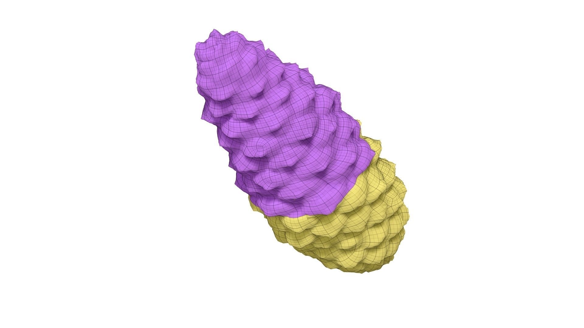Pine Cone - Extreme Definition Scanned 3D model_6