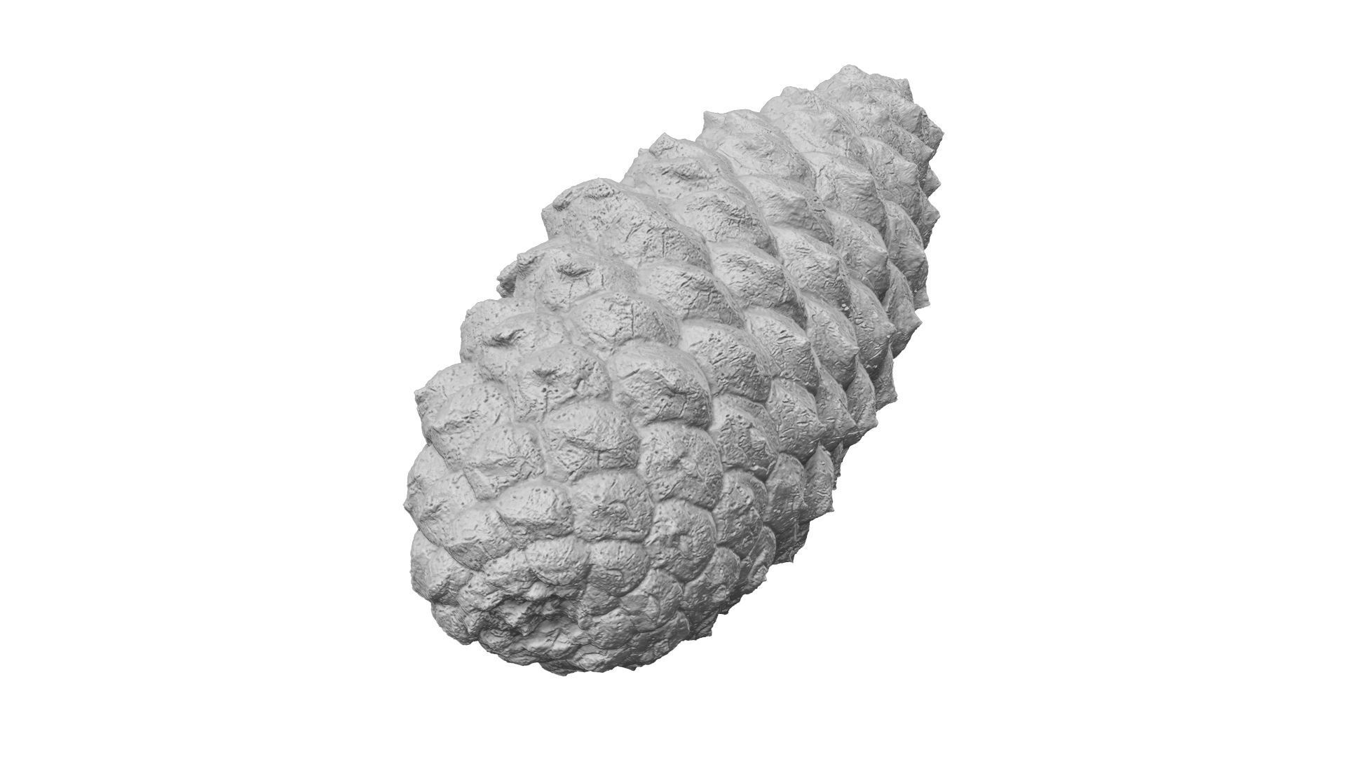 Pine Cone - Extreme Definition Scanned 3D model_9