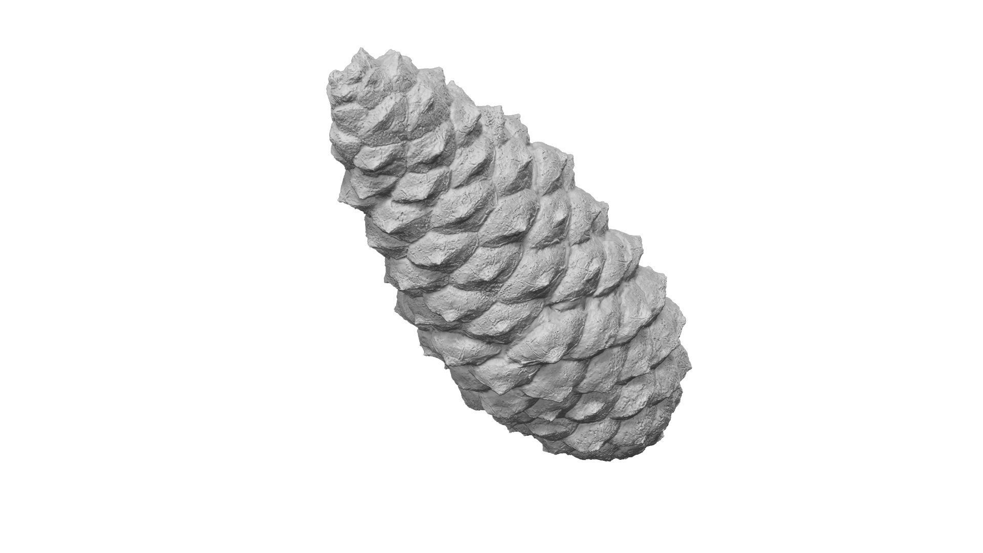 Pine Cone - Extreme Definition Scanned 3D model_2