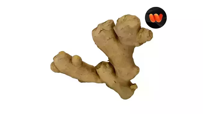 Fresh Ginger Root - Extreme Definition Scanned