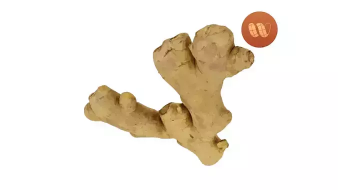 Fresh Ginger Root - Real-Time Scanned Low-poly 3D model