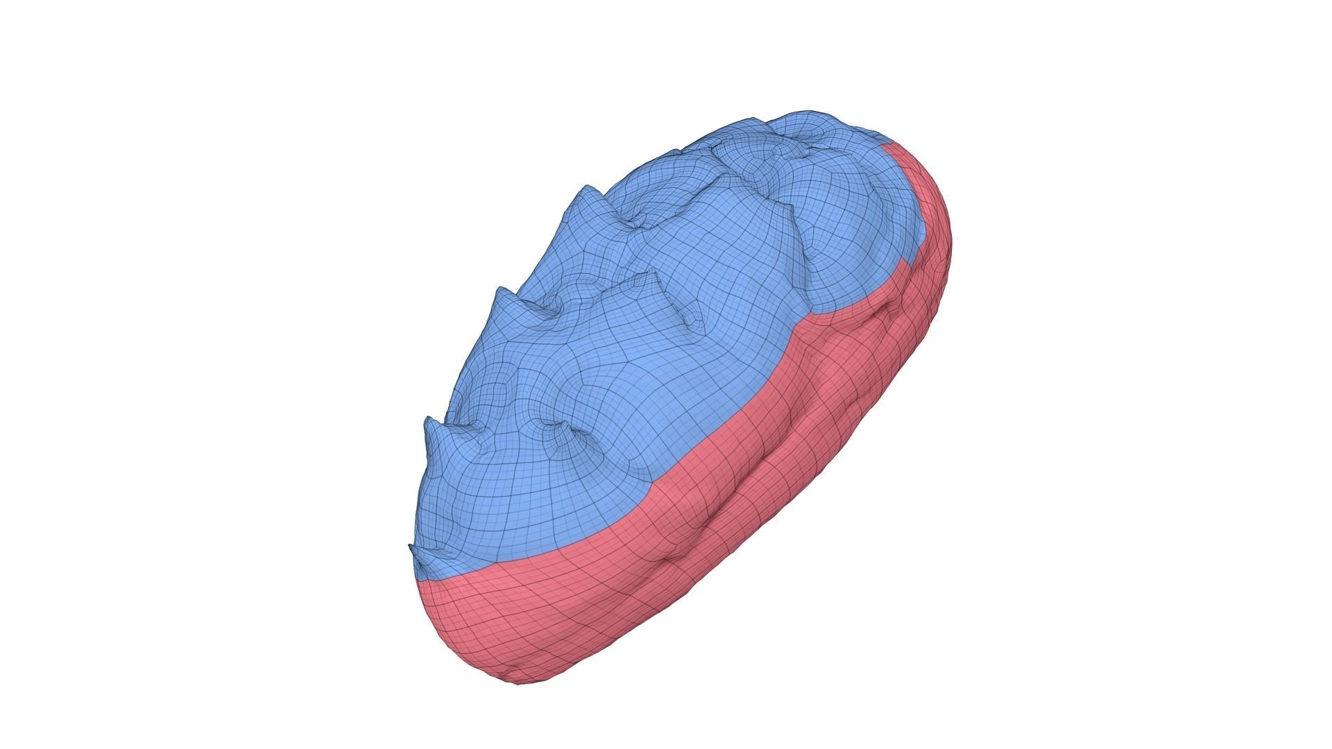 Corn Bread Roll - Extreme Definition Scanned 3D model_6