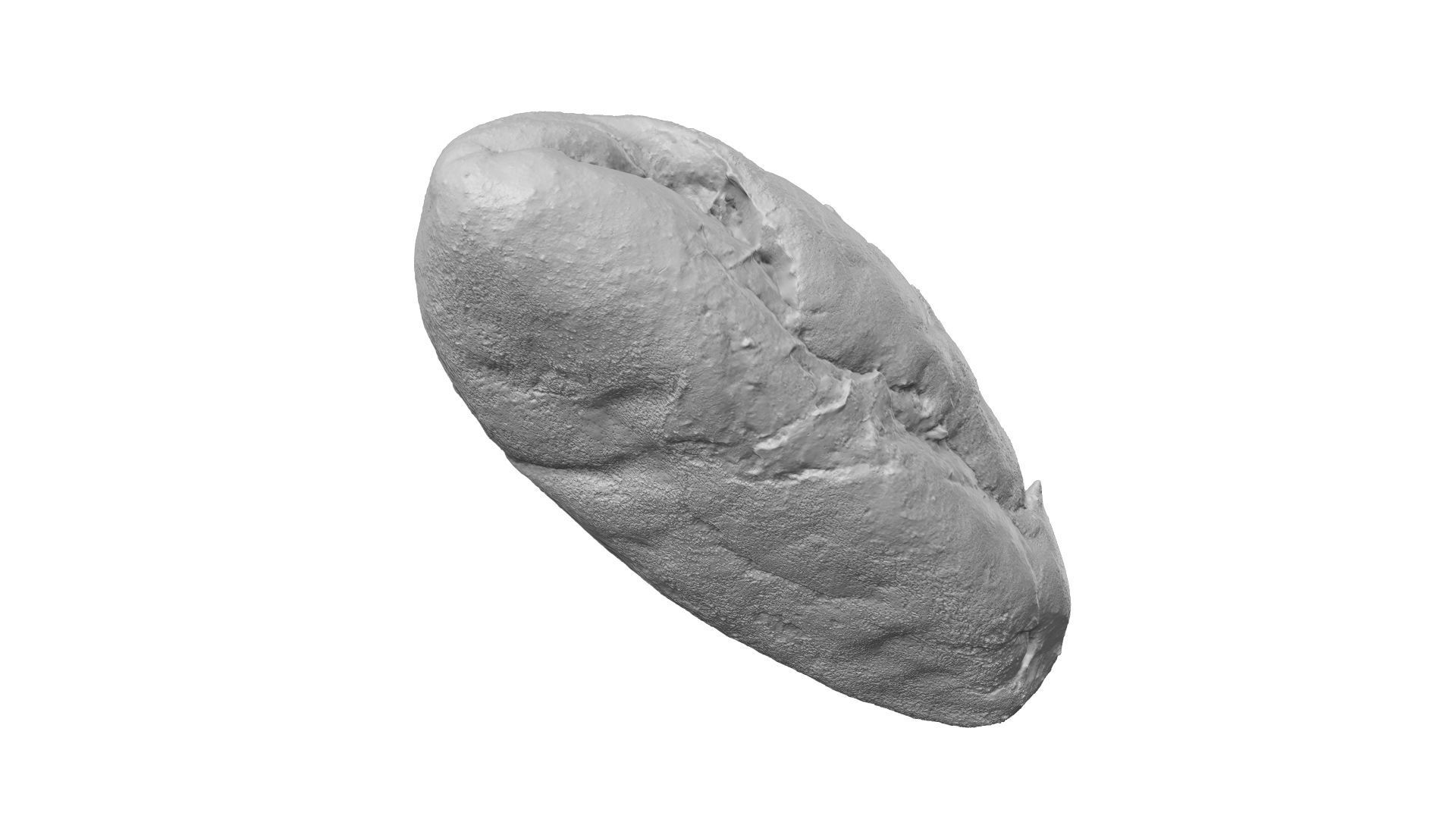 Corn Bread Roll - Extreme Definition Scanned 3D model_9