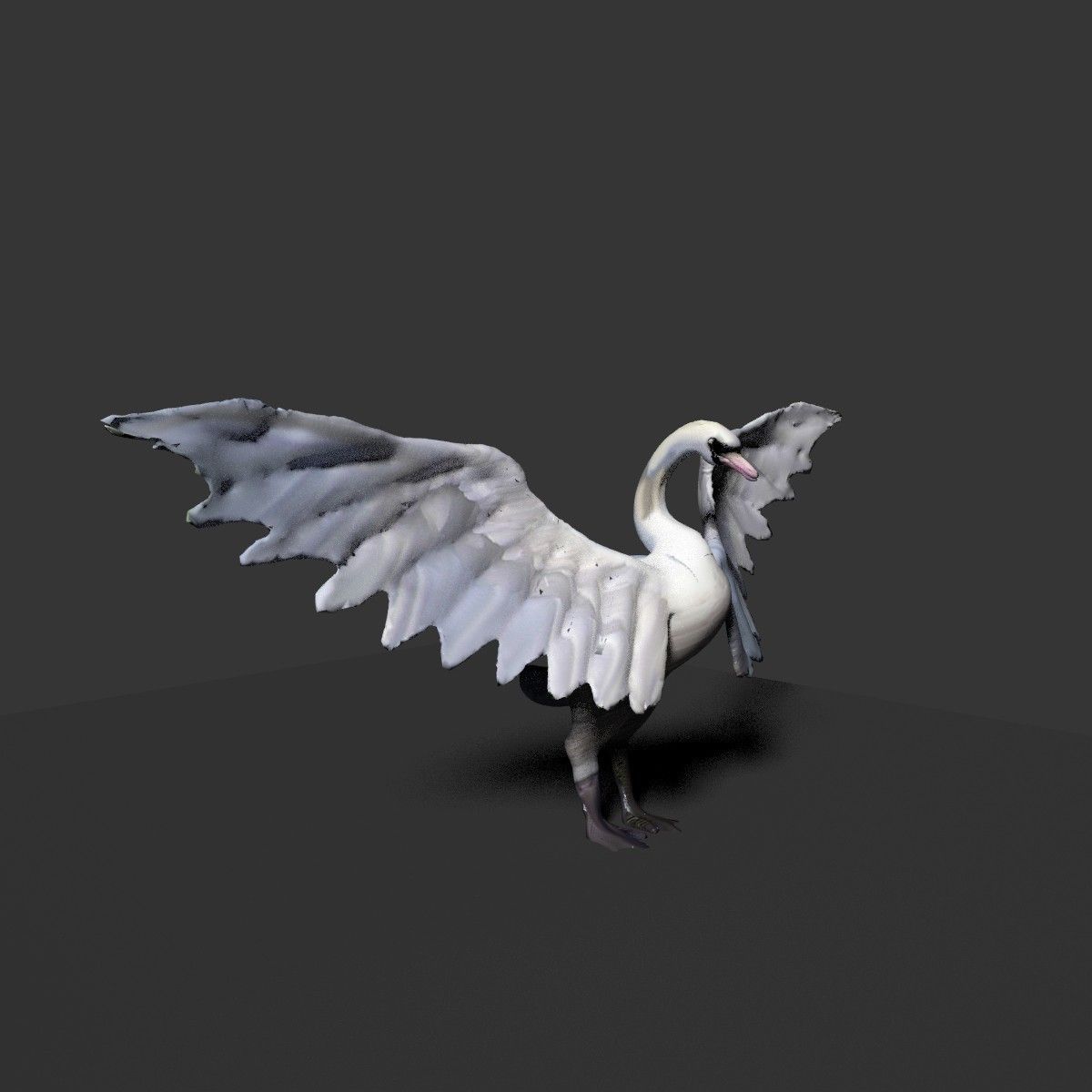white swan 3D model_3