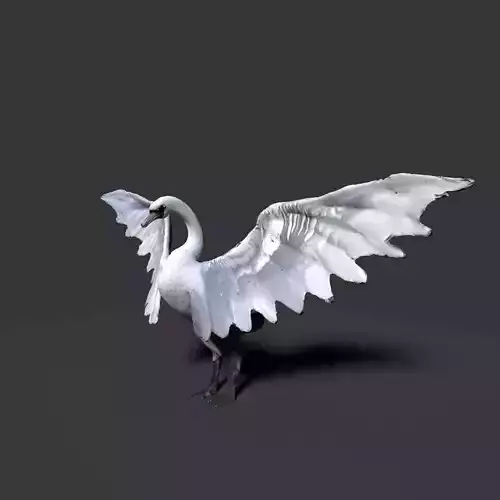white swan  3D model