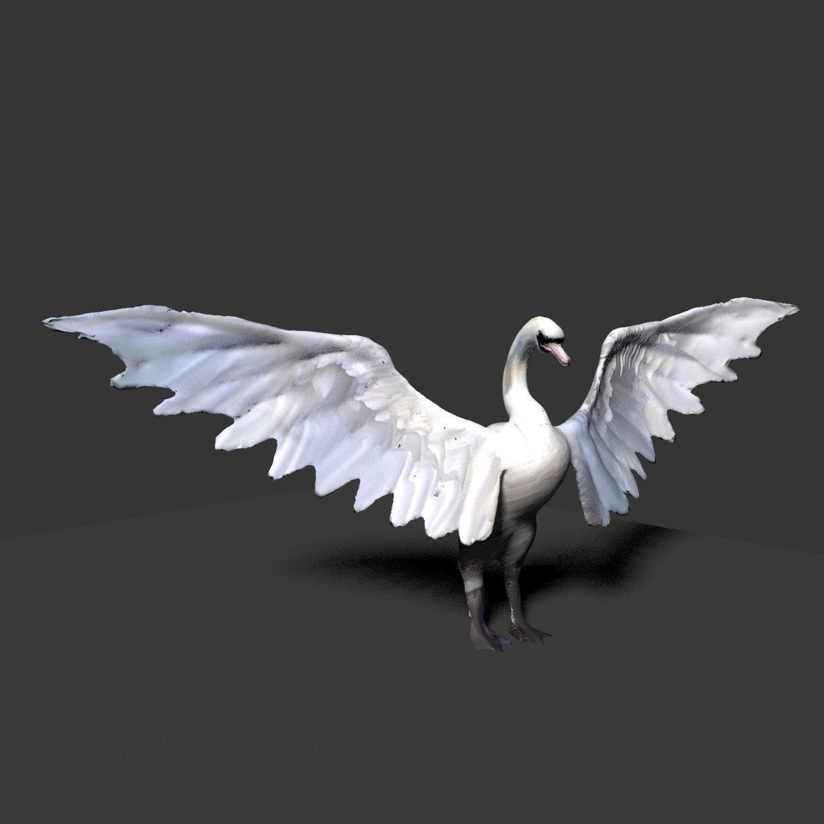 white swan 3D model_5