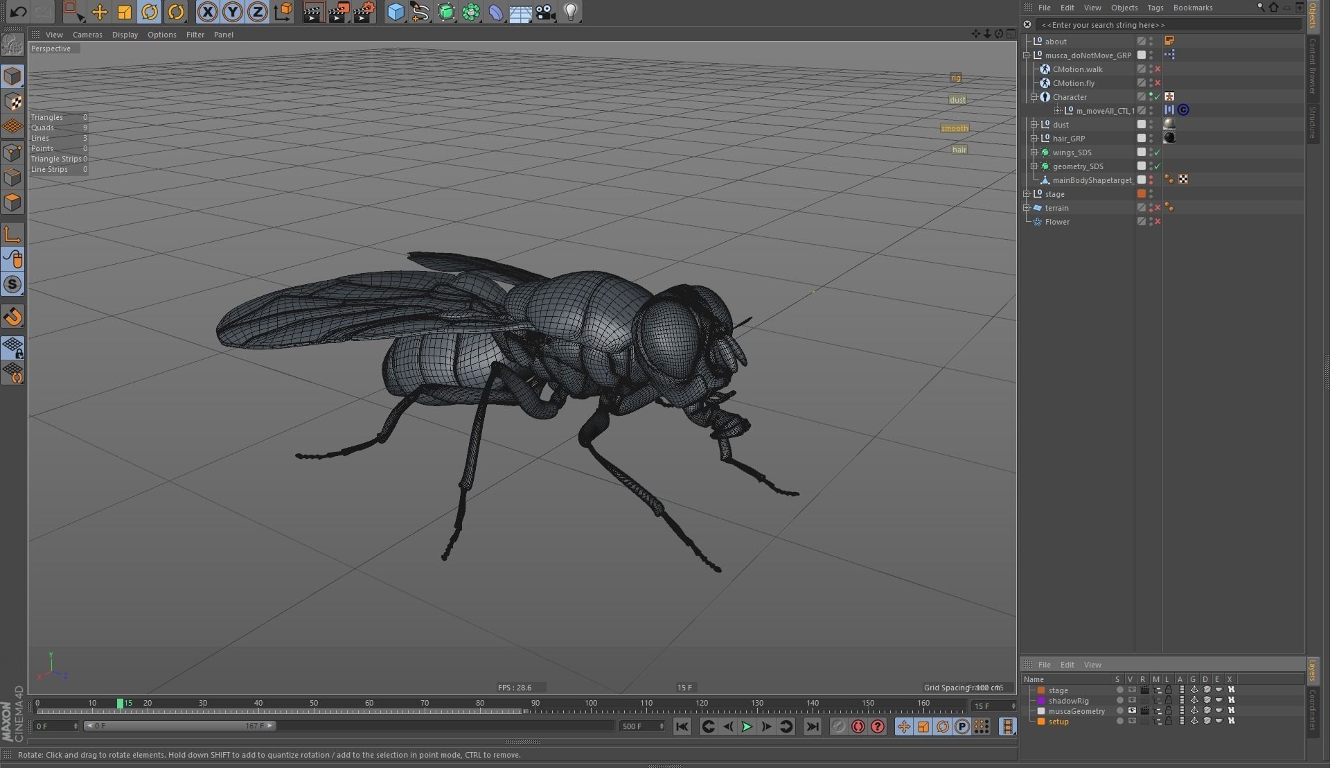 Housefly rigged and animated for Cinema 4d 3D model_12