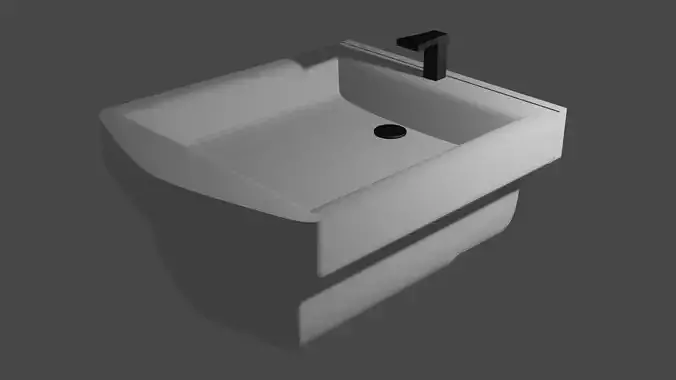 Bidet sink