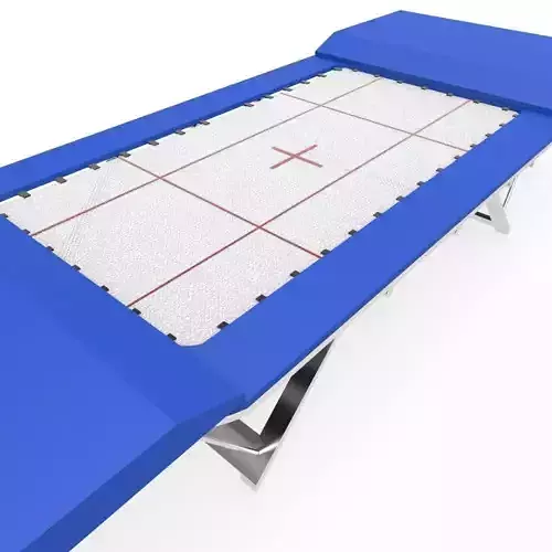 Trampoline Gymnastics