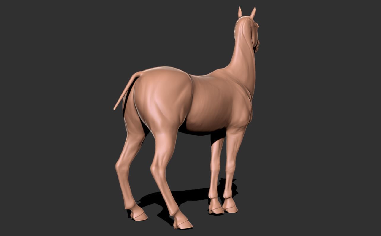 Horse 028 3D print model_3