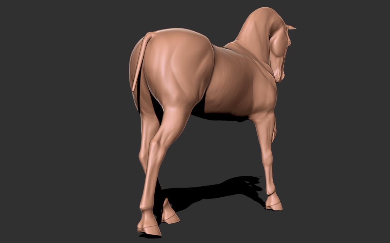 Horse 029 3D print model_2