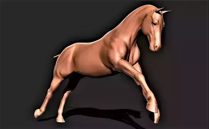 Horse 030