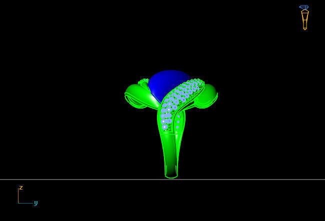 Women Ring 3D print model_4