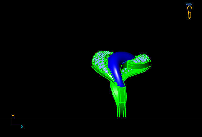 Women Ring 3D print model_4