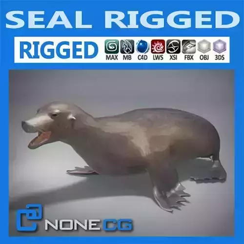 Rigged Seal