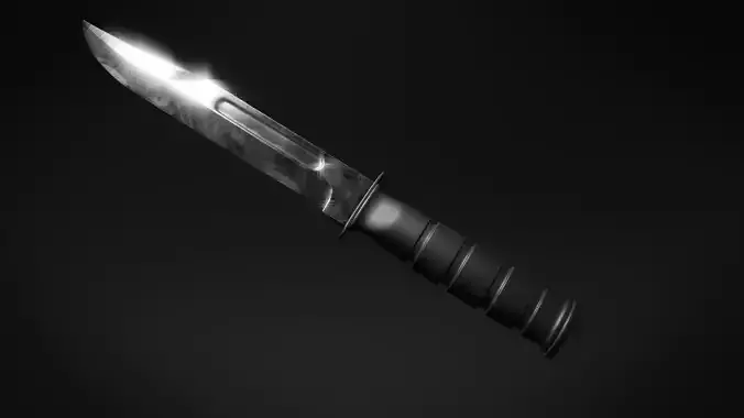 Combat Knife
