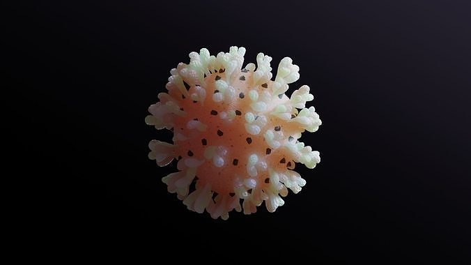 Virus COVID-19  3D model
