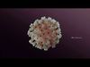 Virus COVID-19  3D model_1