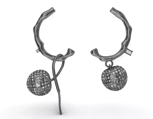 earring pair of earrings