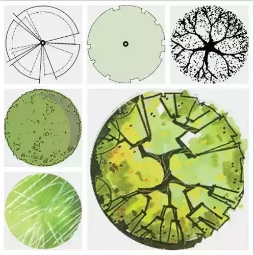 2D Tree plan - PNG Hand Painted Furniture 3D model