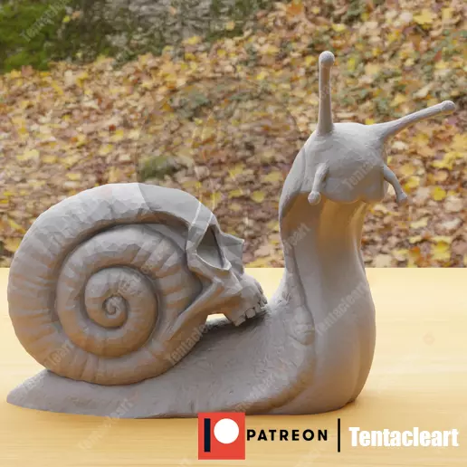 snail skull 3D print model