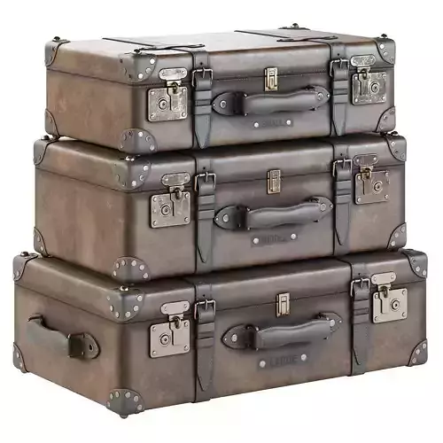 Leather Suitcases  3D model