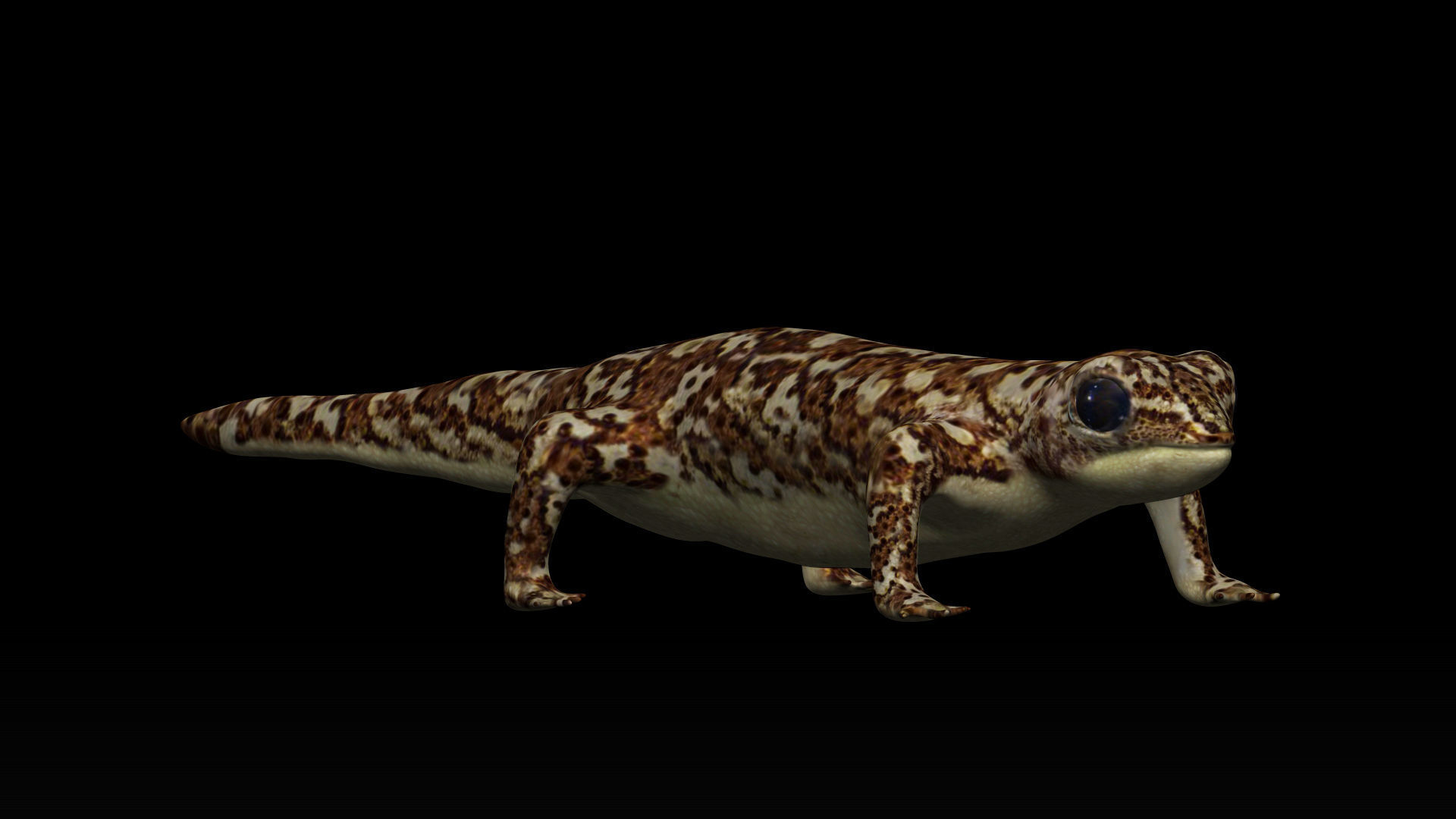 Gecko Lizard Low-poly 3D model_2