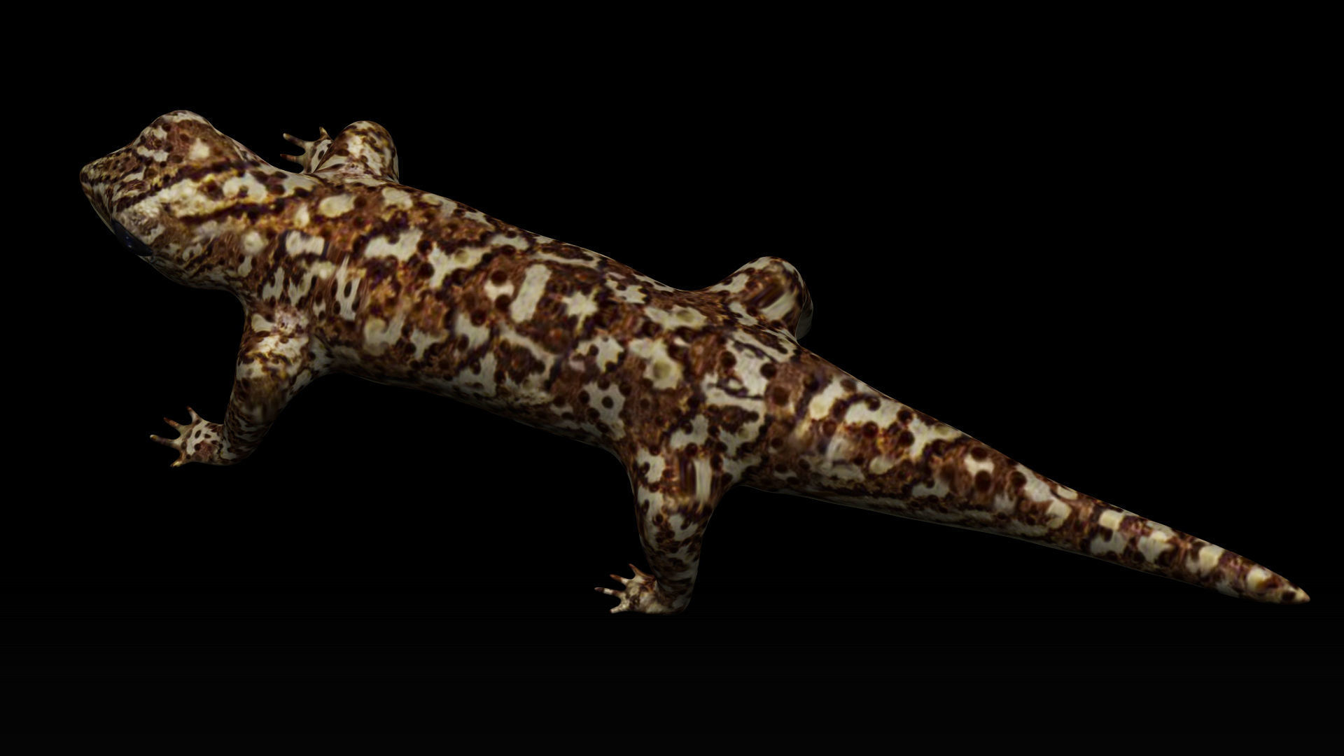 Gecko Lizard Low-poly 3D model_3