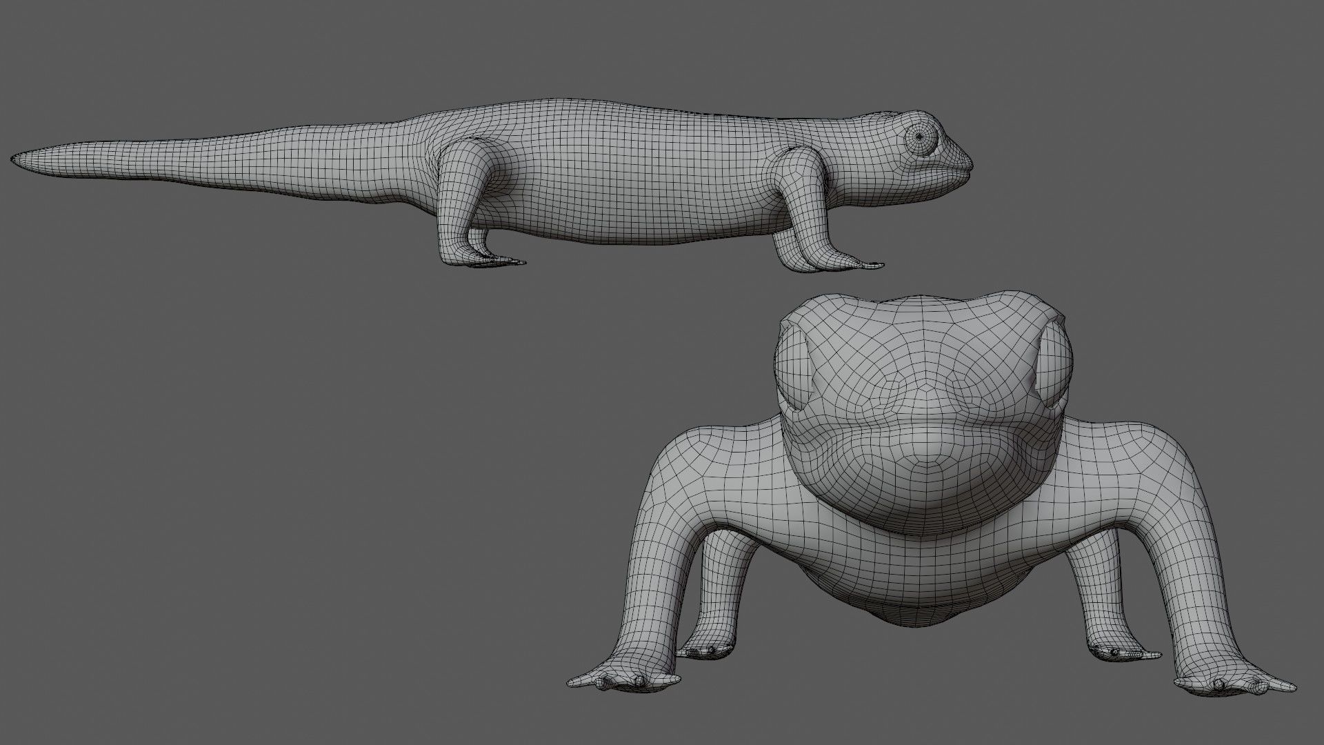 Gecko Lizard Low-poly 3D model_6