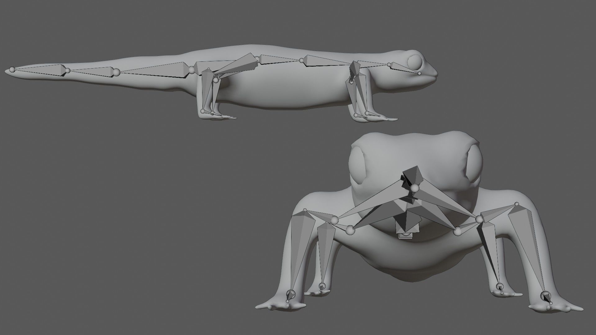Gecko Lizard Low-poly 3D model_5