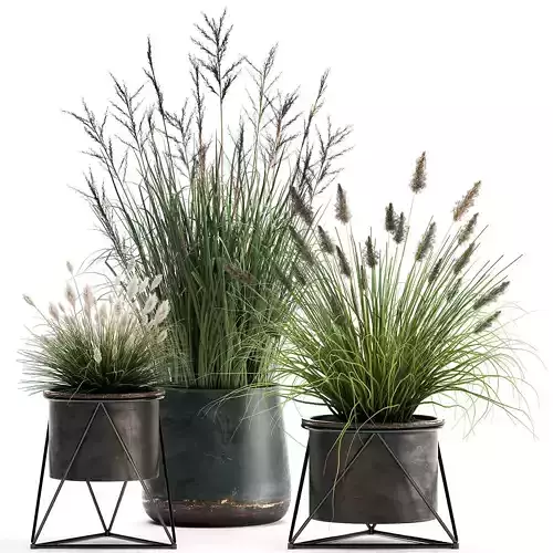 Reeds in a rusty Flowerpot for the interior 979