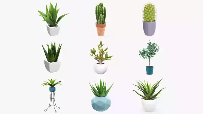 PBR Potted Plants Vol1 3D Model Collection