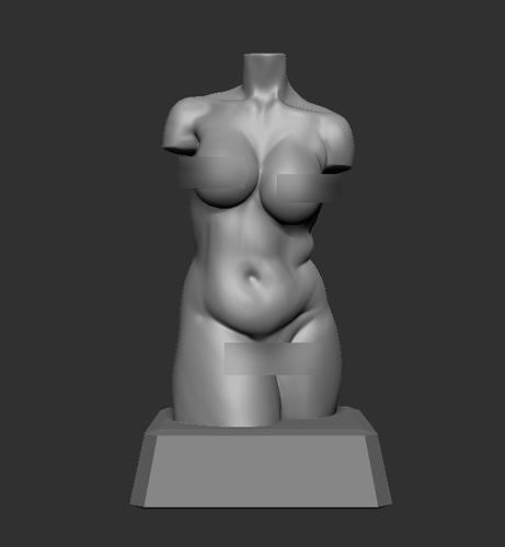 Female Torso 01 - 3D Print Model 3D print model