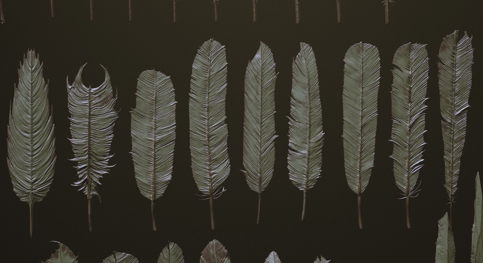 FEATHERS - 40 High poly sculpts and IMM Brush 3D model_4