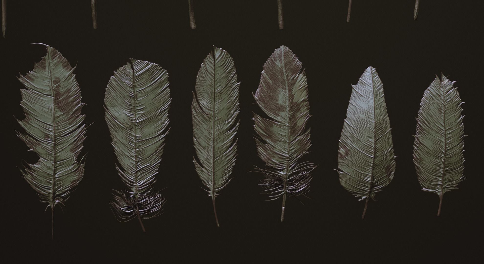 FEATHERS - 40 High poly sculpts and IMM Brush 3D model_5