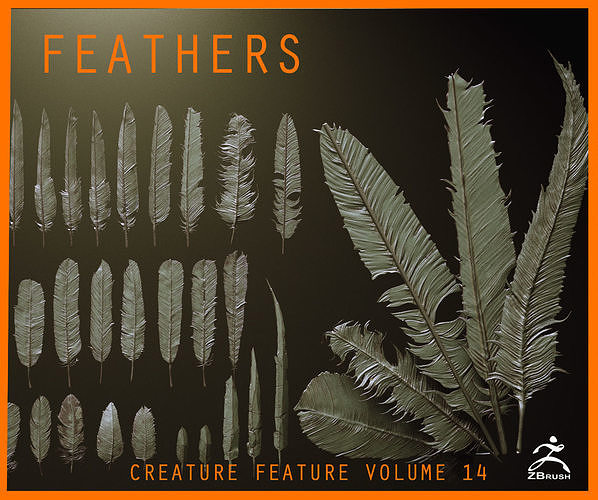 FEATHERS - 40 High poly sculpts and IMM Brush 3D model