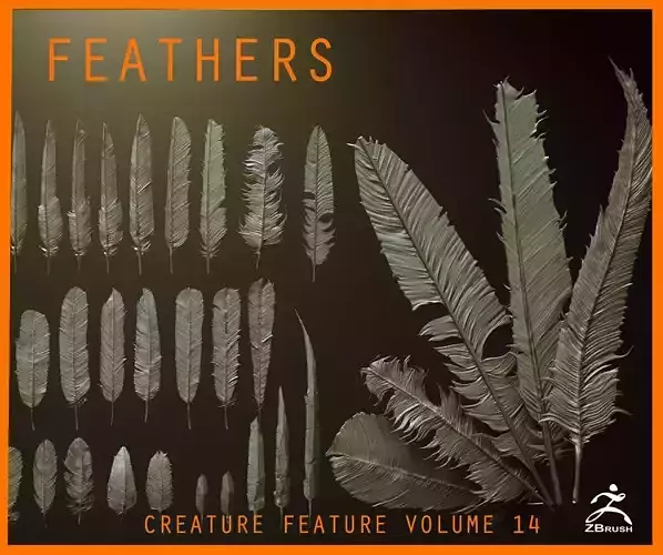 FEATHERS - 40 High poly sculpts and IMM Brush 3D model