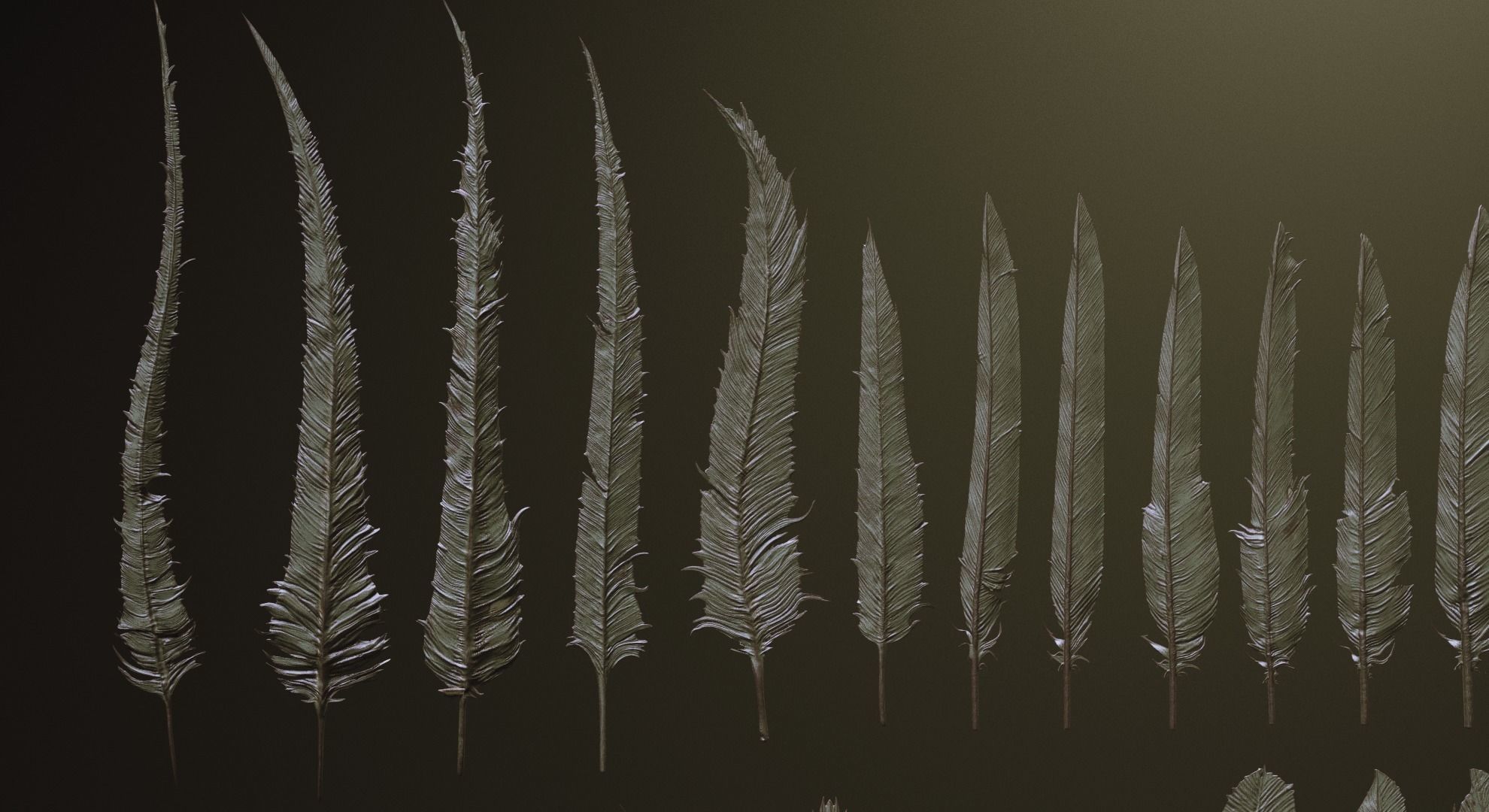 FEATHERS - 40 High poly sculpts and IMM Brush 3D model_1