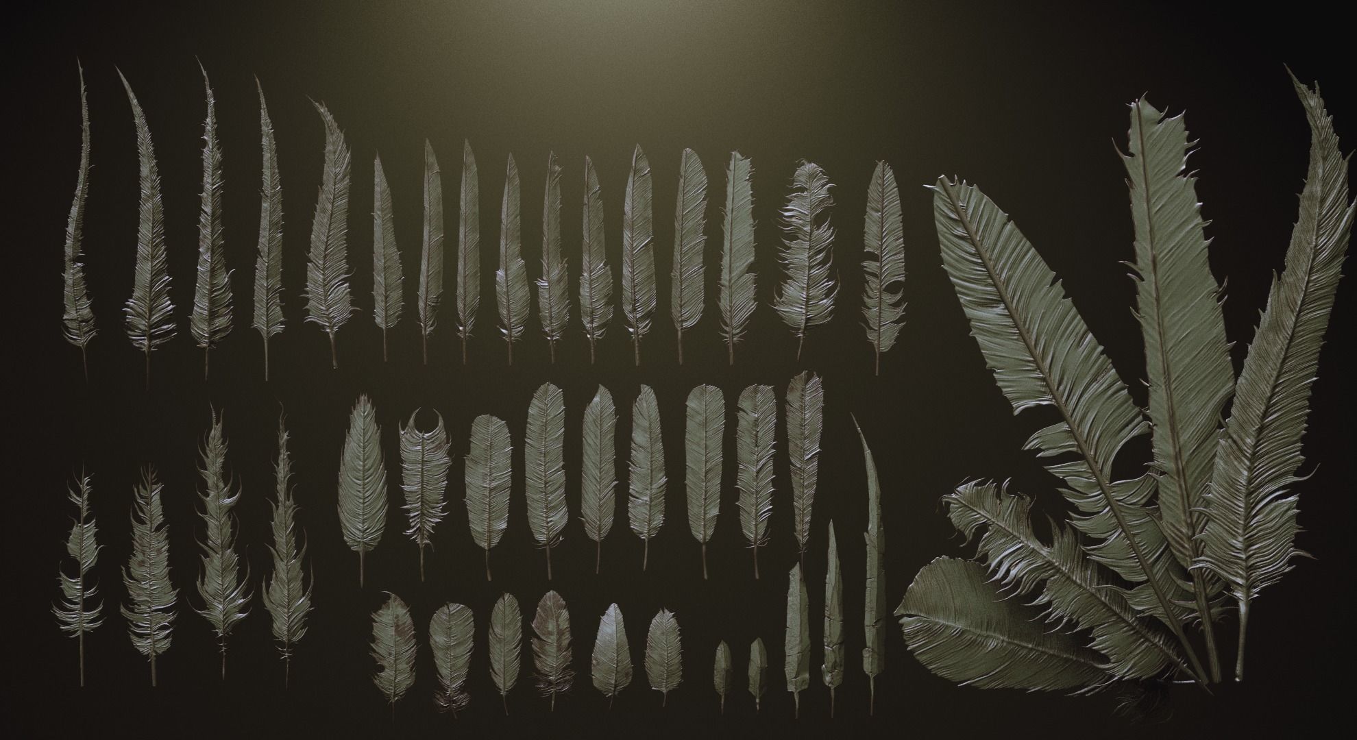 FEATHERS - 40 High poly sculpts and IMM Brush 3D model_7