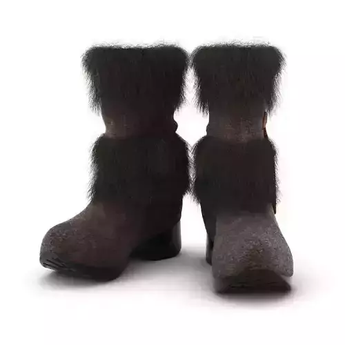 Boots   Fur Covered